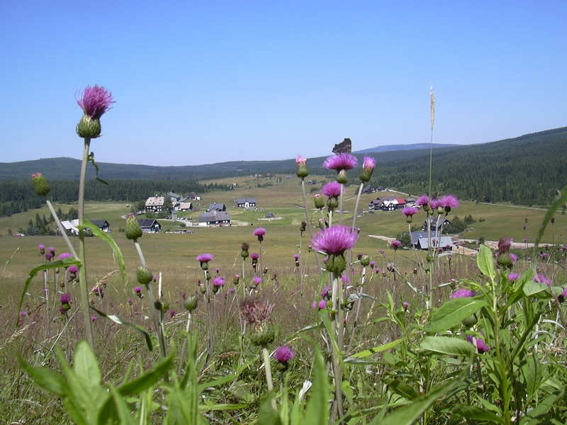 Osada Jizerka z Bukovce