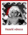 VNOCE_1