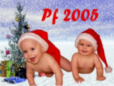 PF 2005