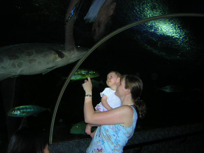 Agatha and Zora in the Underwater world, Sentosa island