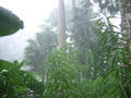 Tropical rain