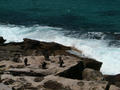 Sculptures by the sea 1