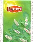 lipton - mint 2