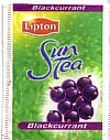 lipton - sun tea - blackcurrant