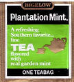 bigelow - plantation mint