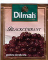 dilmah - blackcurrant