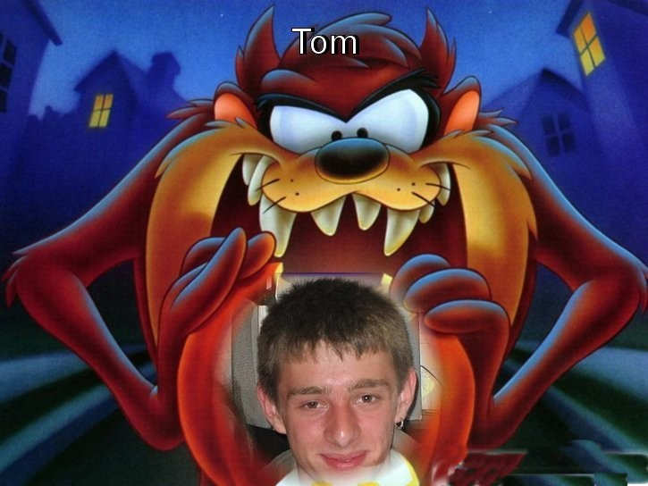 Tom - Garfild