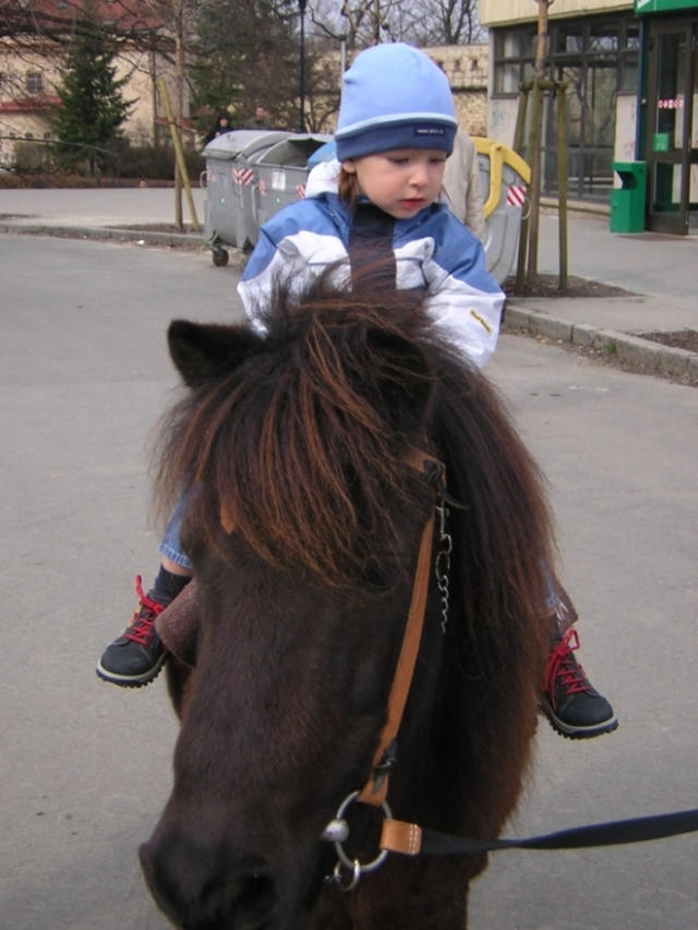 Prvn jzda na konkovi