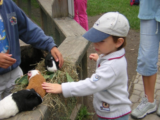 Zoo v Hlubok nad Vltavou