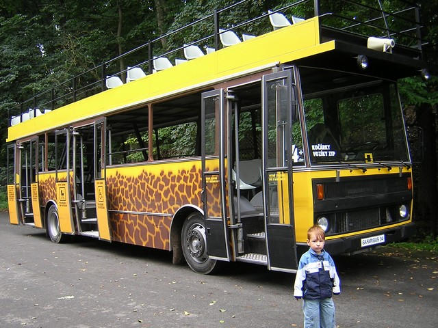 Safari autobus