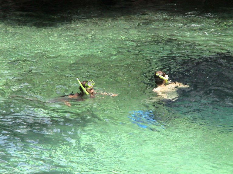 Ginnie Springs