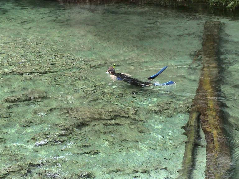 Ginnie Springs