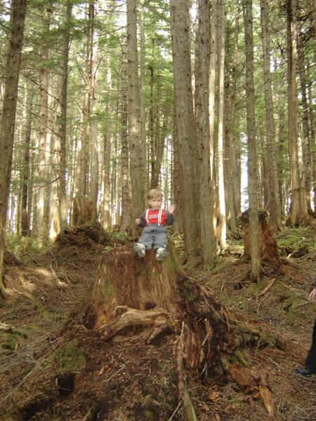 Icy Strait Point - destny les