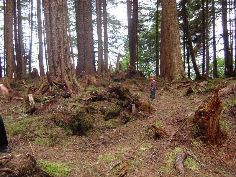 Icy Strait Point - destny les