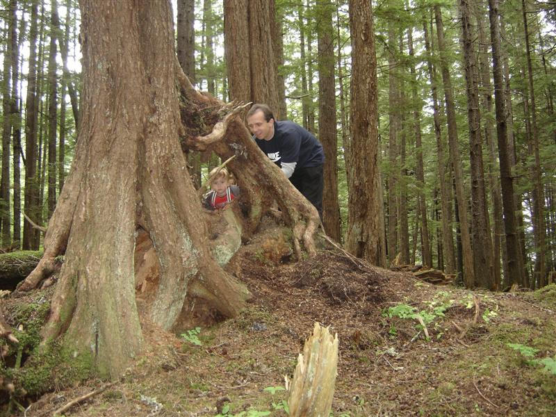 Icy Strait Point - destny les