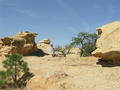 New Mexico, El Malpais