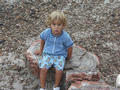 Arizona, Petrifield Forest NP