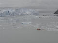 Hubbard Glacier