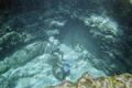 Ginnie Springs