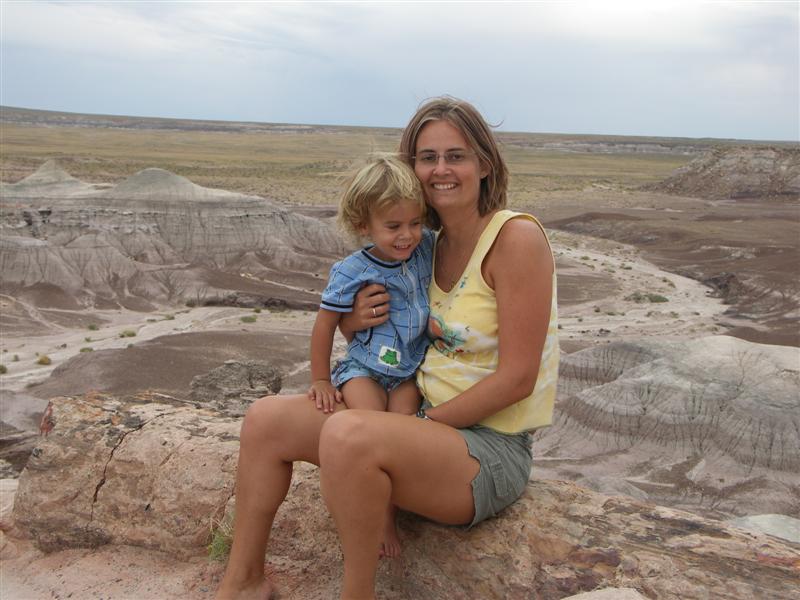 Arizona, Petrifield Forest NP