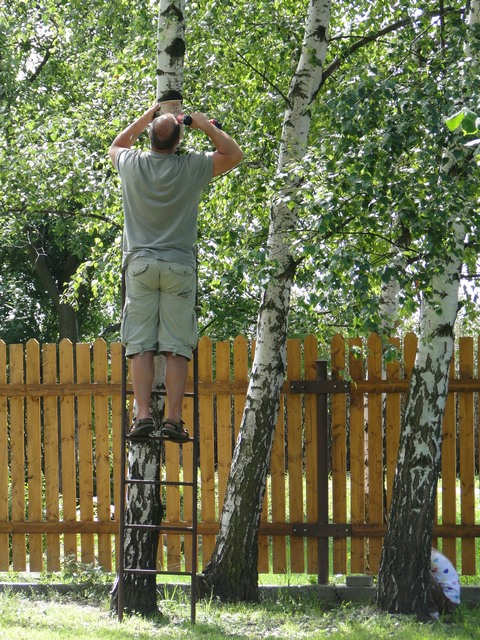 Jenda pidlv nae vrcholn dlko...