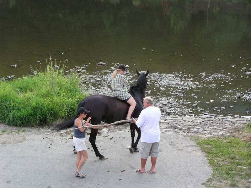 chceli dosta konka do vody