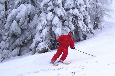 Ma ovld nejen klasickou jzdu popedu ...