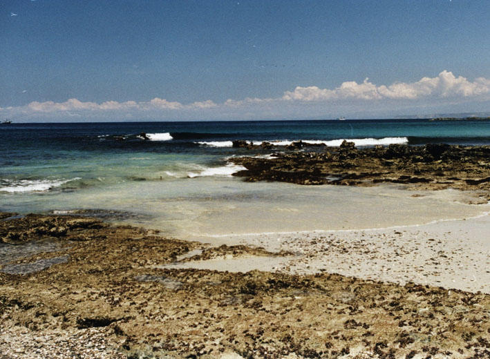 Pobe Pacifiku - Playa Blanca