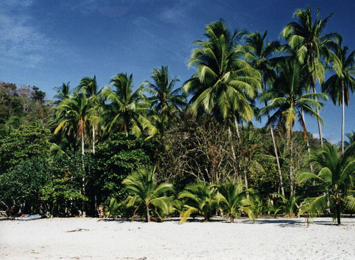 Playa Mantas - pobe Pacifiku