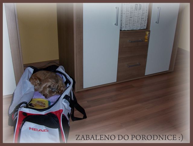 Zabaleno do porodnice :)