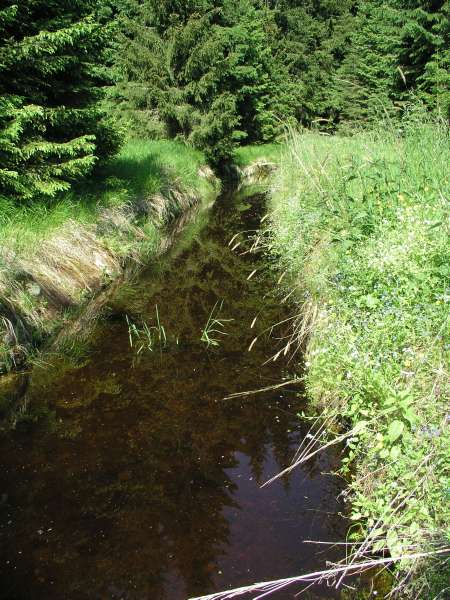 Schwarzenbelsk plavebn kanl