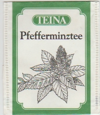 TEINA