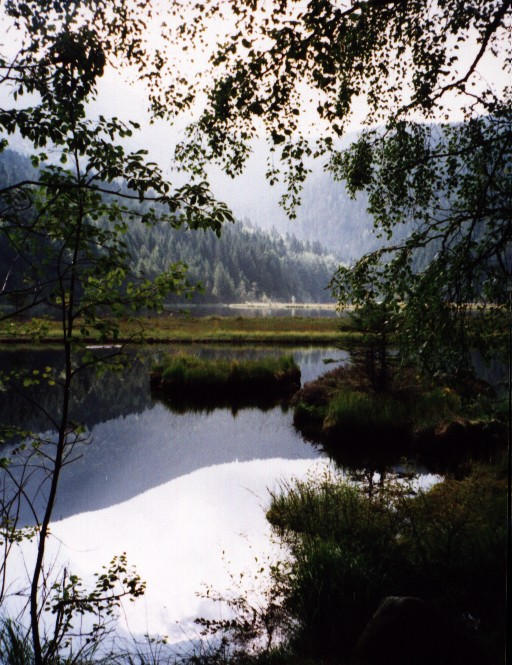 mal Javorsk jezero