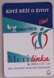 Merilinka, 2000