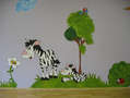 zebra a hbtko v detailu