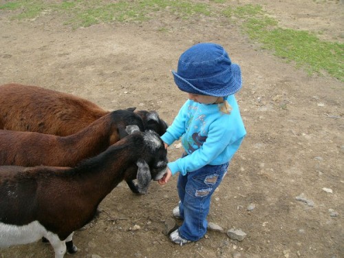 ZOO st nad Labem 6.7.2004