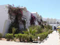 Tunisko - arel hotelu I.