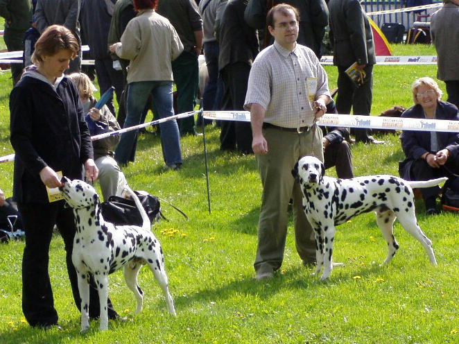 Denny a Enrico (NV Bansk Bystrica)