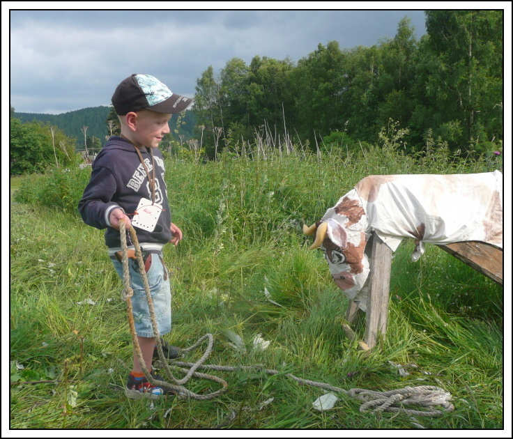 Zkrocen vola...