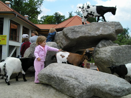 Johanka a malink koziky