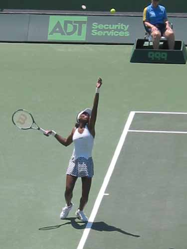 Venus Williams