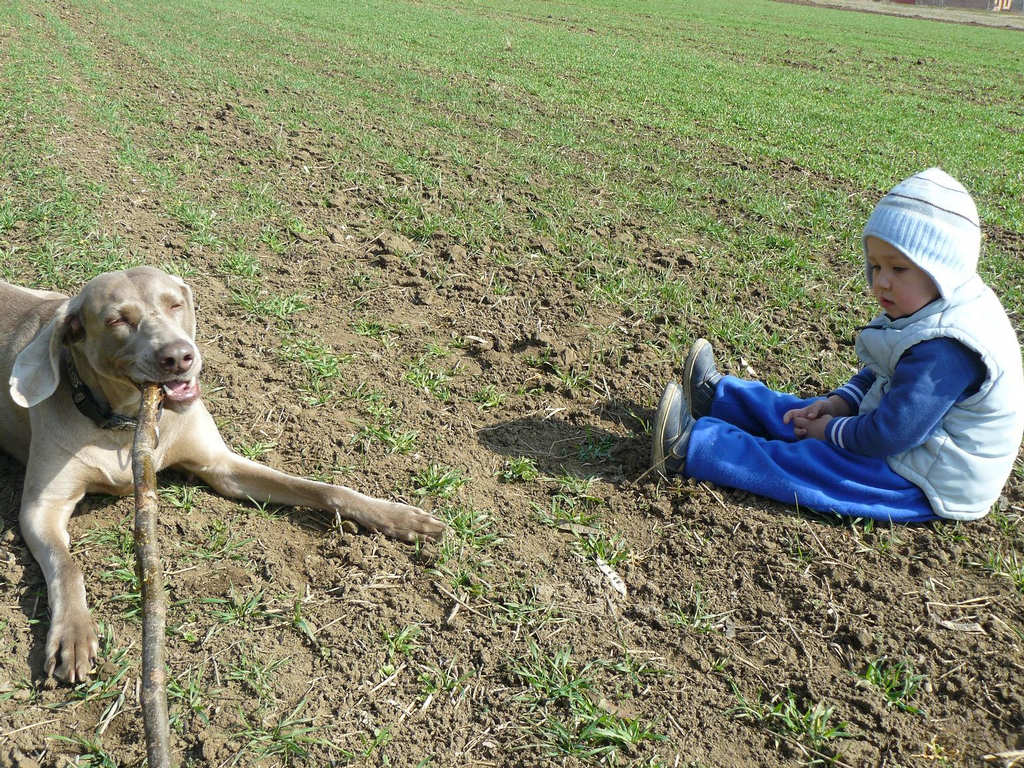 Siesta na poli :-)