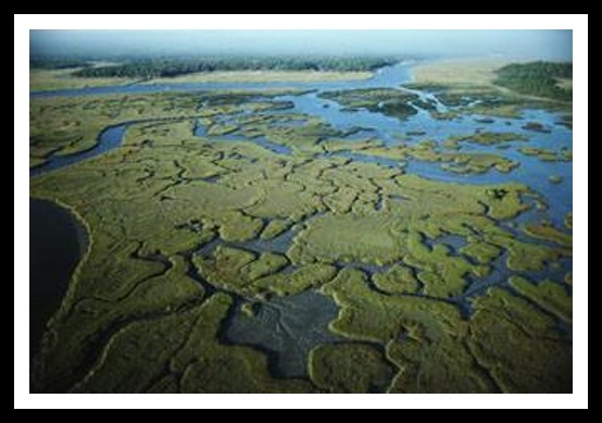 Everglades National Park, nekonecne mokriny