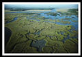 Everglades National Park, nekonecne mokriny