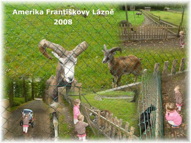 Frantikovy Lzn - Amerika