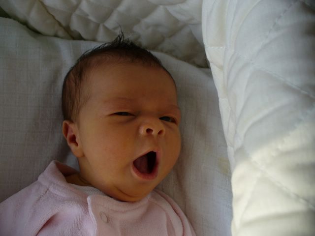 Yawning1