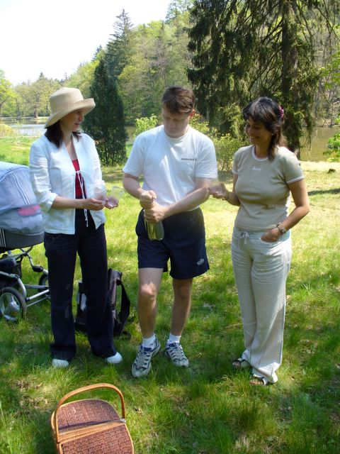 Picnic was started with the toast 