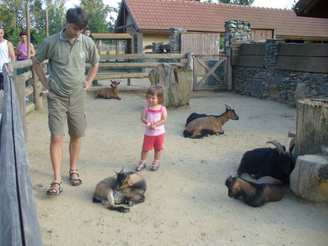 In Prague ZOO