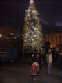 Christmas tree in Prague