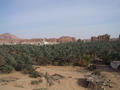 An oasis amongst the rocks, Madain Saleh